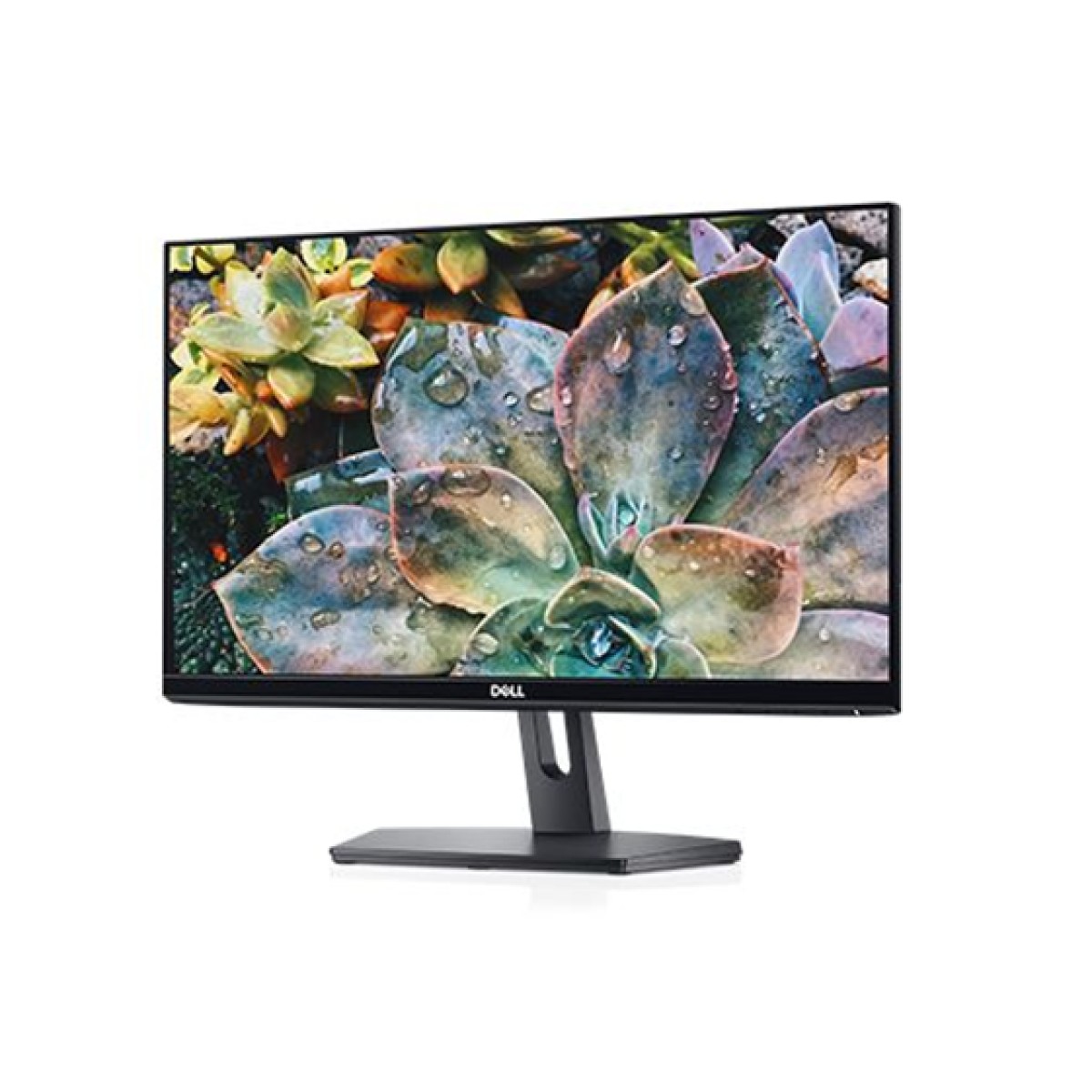 Monitor Dell Se2219H 22″ IPS Full Hd 5Ms 250Cd/M² USB HDMI Vga